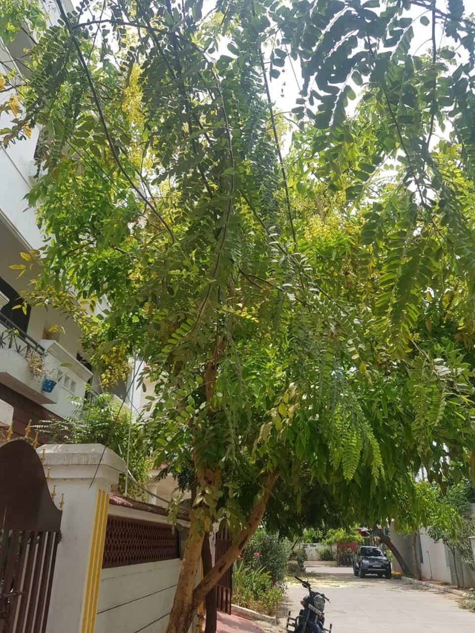 Royal Palace Guest House Chennai Ngoại thất bức ảnh